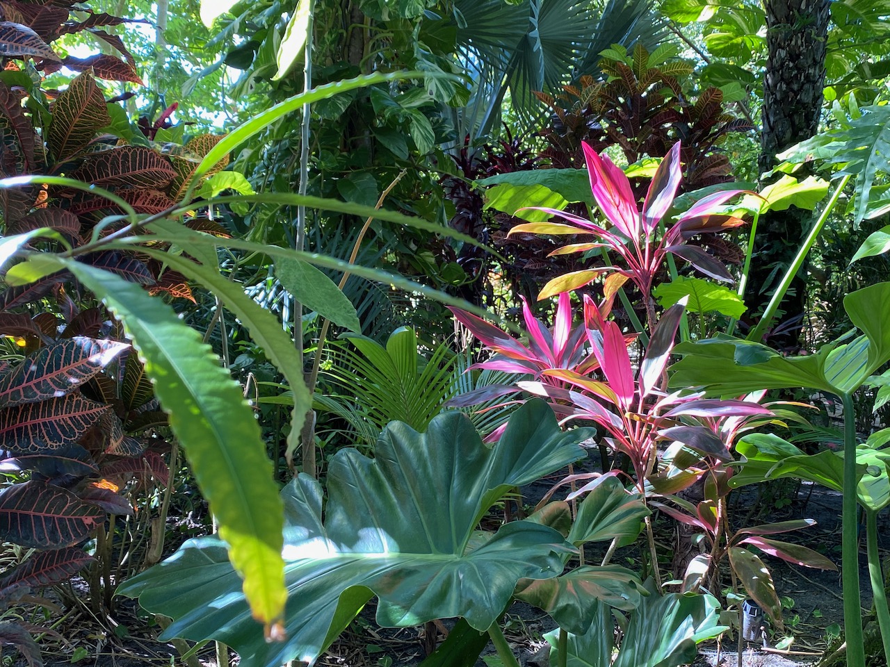 Zwirns Botanical Gardens